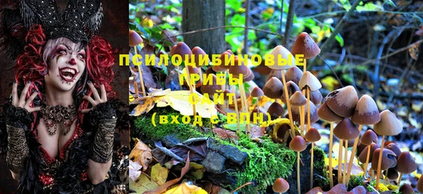 гашишное масло Каменка