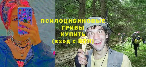 гашишное масло Каменка